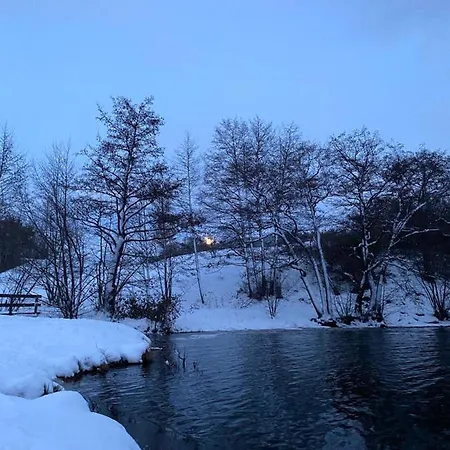 Hotel La Bonne Hotesse Chambon-sur-Lac